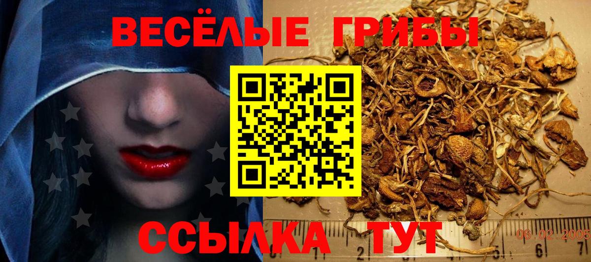 Псилоцибиновые грибы мицелий  Галлюциногенные грибы мицелий  Вход с VPN  Прохладный 