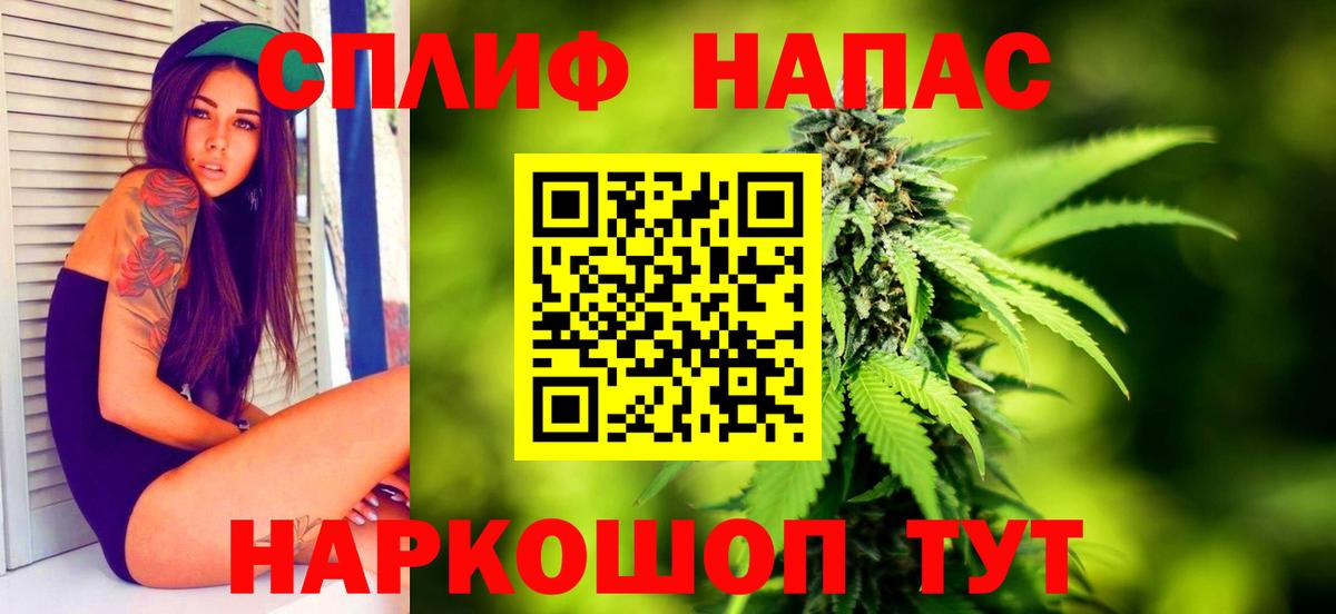 Прохладный  Канабис ГИДРОПОН  Канабис Ganja  Бошки Шишки Amnesia  Вход с VPN  Канабис планчик 